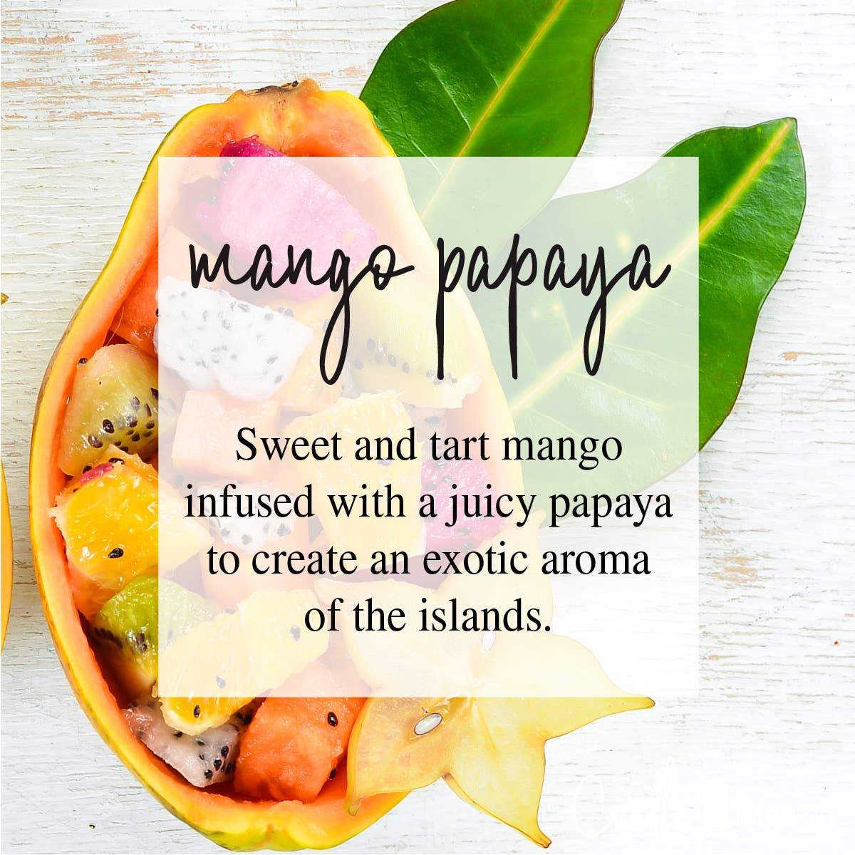 MANGO PAPAYA | 4oz Mason Jar | 100% Pure Soy Candle