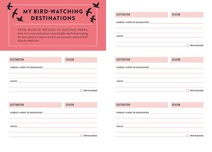 The Bird Watcher's Journal
