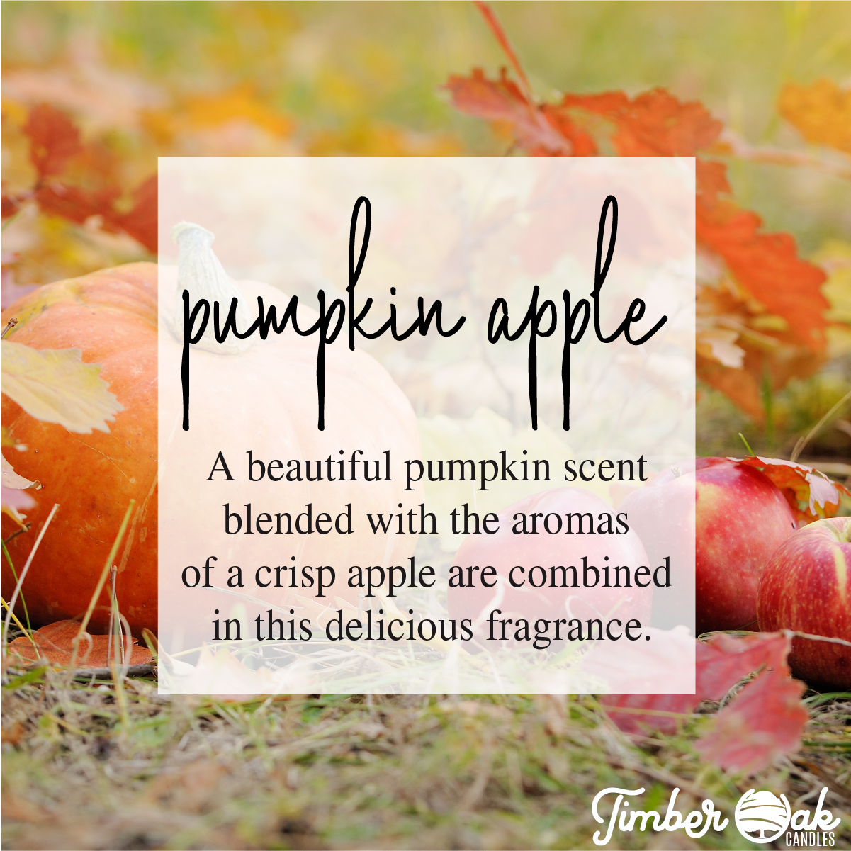 4oz Pumpkin Apple Mason Jar Soy Candles (FALL)