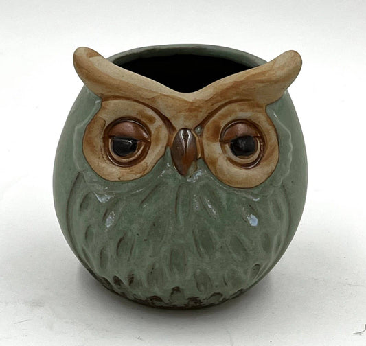 Small Owl Succulent / Cactus Planter Flower mini pot