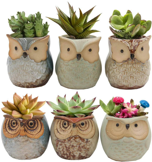 Owl Ceramic Succulent Cactus Pot