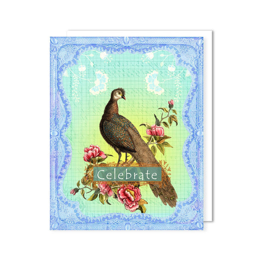 Peacock Greeting Card